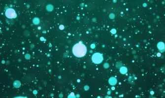 Made for the Big Reveal | Fasul Studio